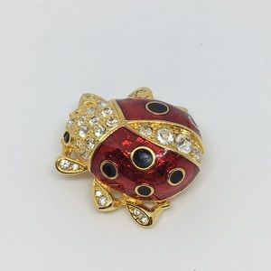 Ladybug Brooch Pin